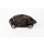 Bremssattel Bremse 8V0615123 Vorn links TRW 57mm Seat Leon 5F 1.4 TSI