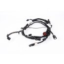Einparkhilfe PDC Kabelbaum F1DT15K868ARG Hinten Ford...
