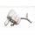 Auspuffrohr Endrohr Endschalldämpfer 8W9253611A links Audi A4 B9 8W 2.0 TFSI