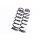 Fahrwerksfedern Federn links und rechts Set hinten Seat Leon ST 5F8 5Q0511121