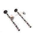 Nockenwellen Einlass Auslass Set BMW 5er E60 525d 7791579